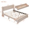 Queen Size Storage Bed Velvet Upholstered Platform Bed with a Big Drawer
